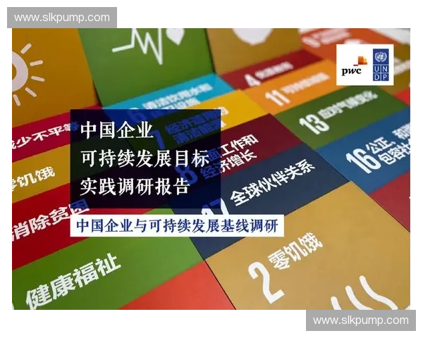以长期价值为导向的职业球队精细化运营与可持续发展战略研究
